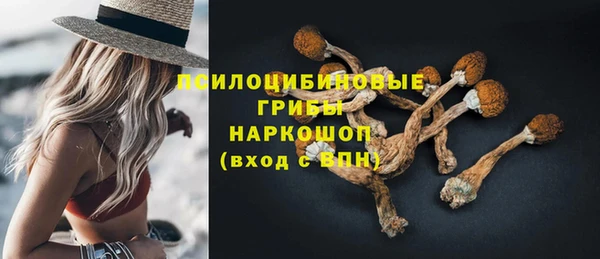 метадон Михайлов