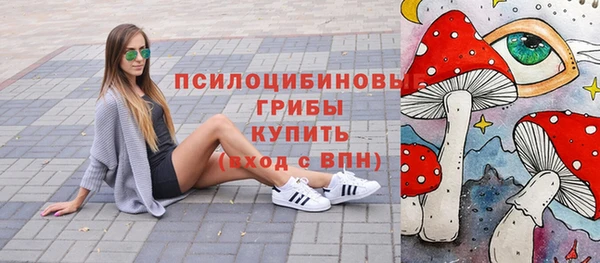 метадон Михайлов