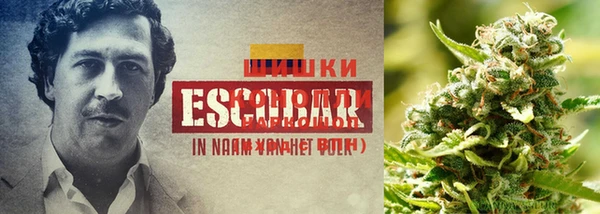 2c-b Михайловка