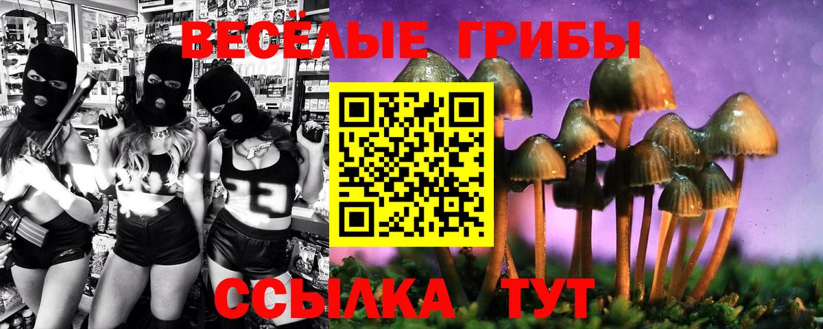 Галлюциногенные грибы Psilocybe  Вход с VPN  Псилоцибиновые грибы ЛСД  Алапаевск 
